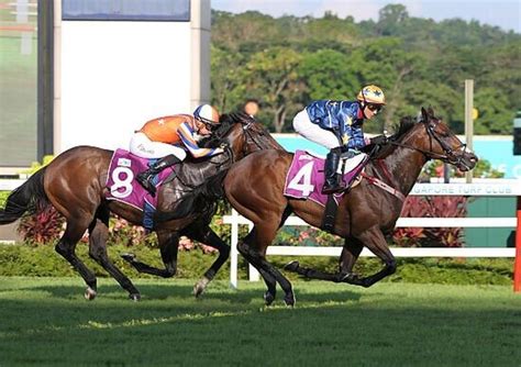 Lim’s Kosciuszko storms to victory in Lion City Cup.
